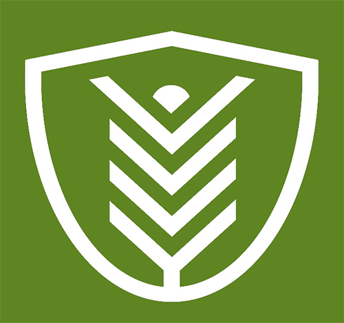 Tecbale Logo Green